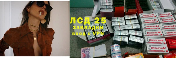 твердый Магас