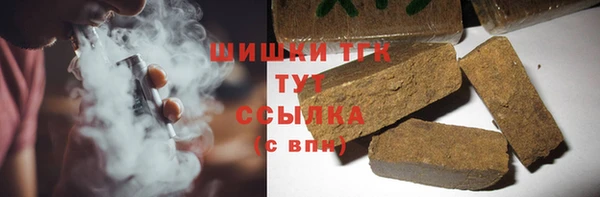 твердый Магас
