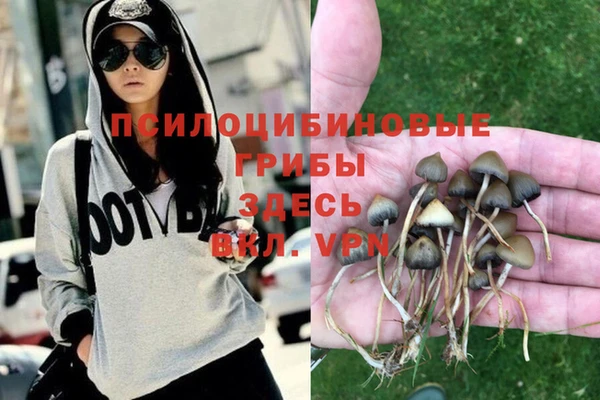 твердый Магас