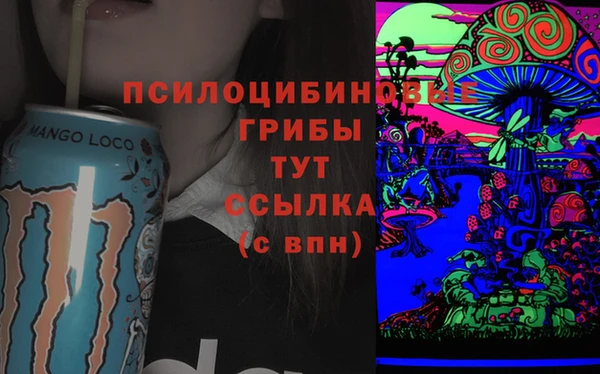 дурь Магадан