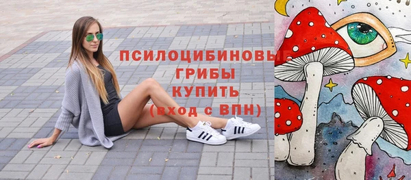 крисы Вязники