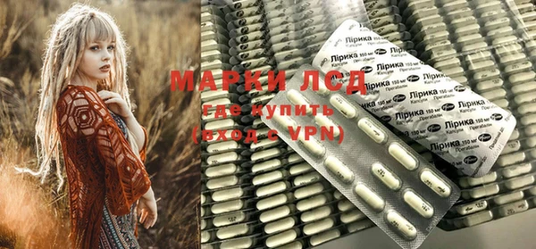 твердый Магас