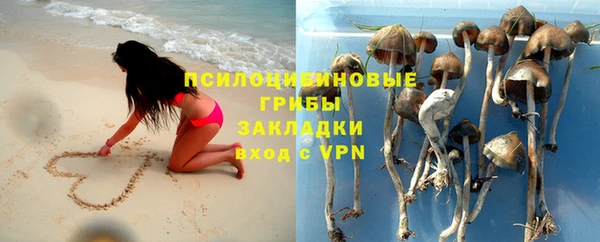 твердый Магас