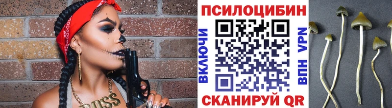 Псилоцибиновые грибы ЛСД  сайты даркнета Telegram  Моршанск 