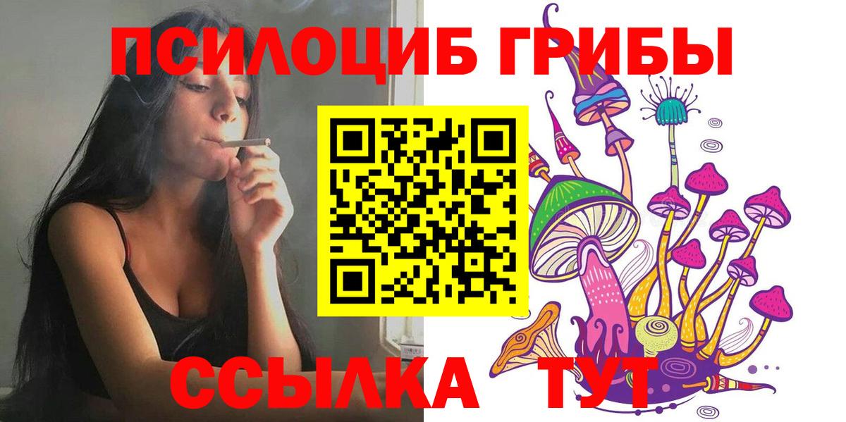 Галлюциногенные грибы Magic Shrooms  Моршанск  Псилоцибиновые грибы Psilocybine cubensis 